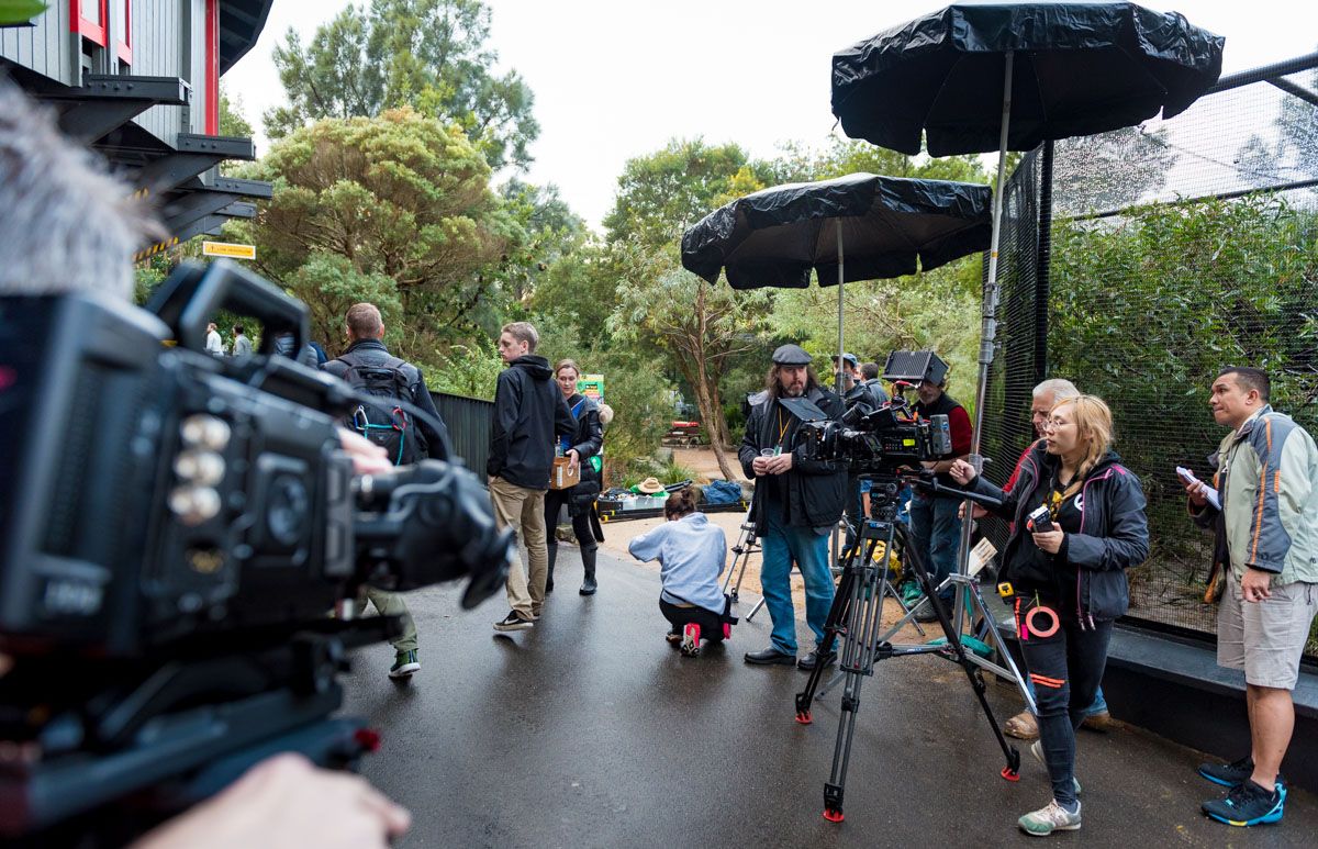 Wild Squad Adventures: Behind The Scenes